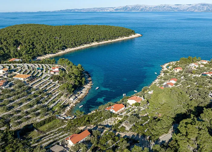 بيت للعطل In Tankaraca *